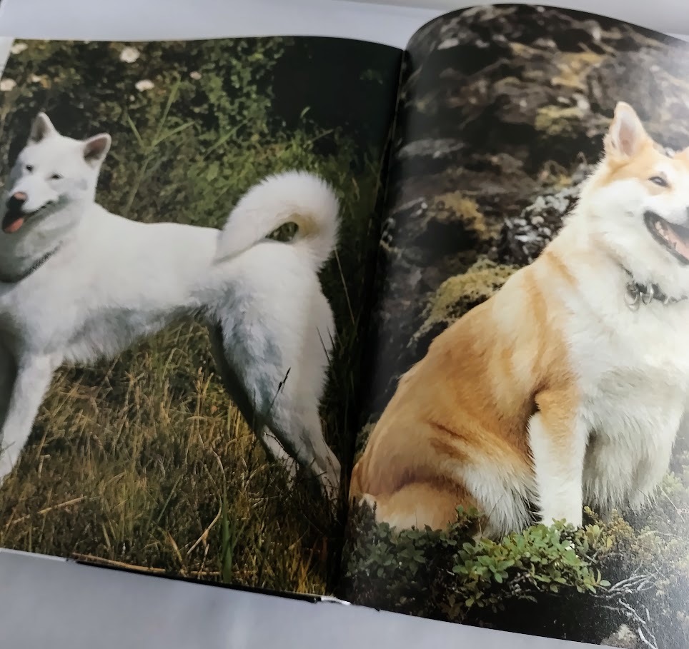 * including carriage [New Encyclopedia of the Dog] dog. encyclopedia hard cover *[ foreign book ]