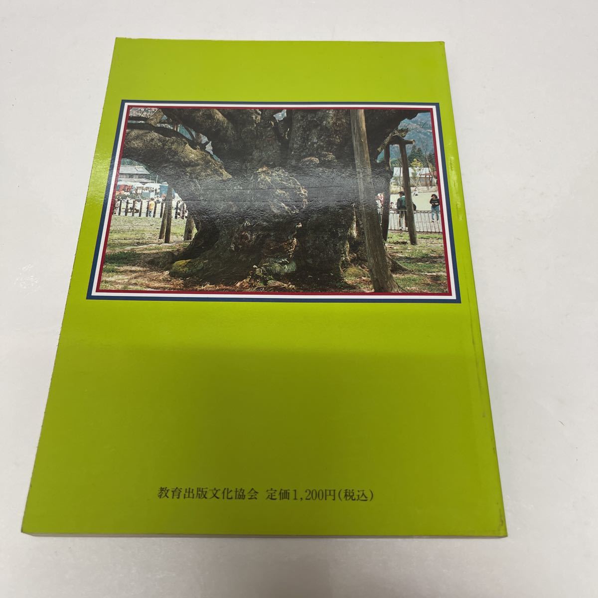 ぎふの名山名木 岐阜の自然観察ガイドシリーズ1 平成3年 初版 教育出版文化協会_画像3
