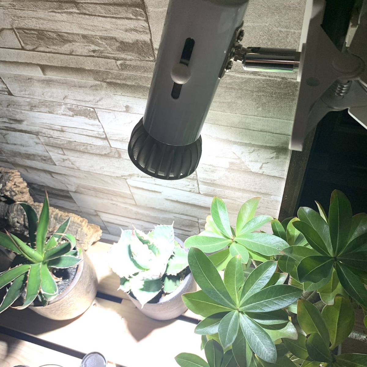 15W植物育成ライトGrowLight 6000K 2個　ライトクリップ2個_画像5