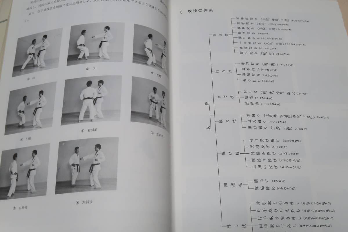正伝沖縄剛柔流・空手道技法/宮里栄一監修・甲斐国征/宮城長順 正伝沖縄剛柔流・空手道技法/宮里栄一監修・甲斐国征/宮城長順