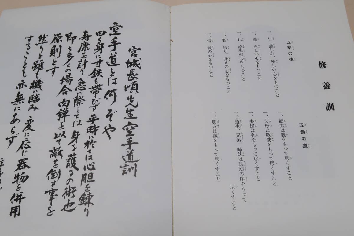 正伝沖縄剛柔流・空手道技法/宮里栄一監修・甲斐国征/宮城長順 正伝沖縄剛柔流・空手道技法/宮里栄一監修・甲斐国征/宮城長順