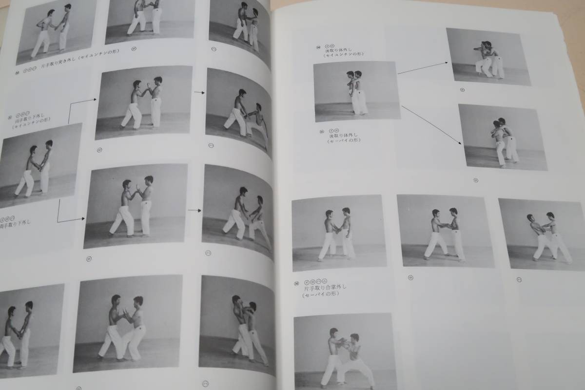 正伝沖縄剛柔流・空手道技法/宮里栄一監修・甲斐国征/宮城長順 正伝沖縄剛柔流・空手道技法/宮里栄一監修・甲斐国征/宮城長順