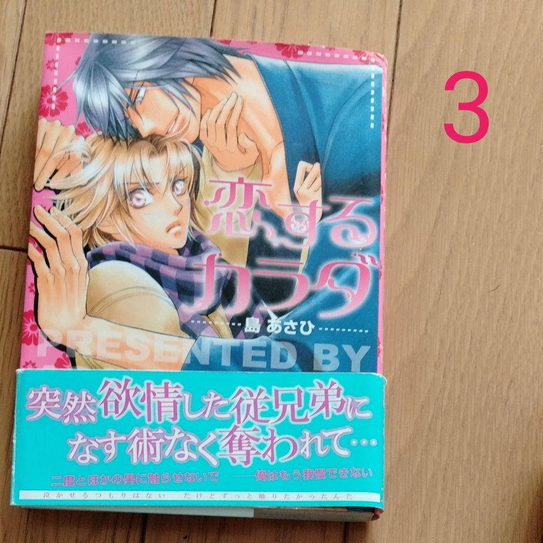 BL漫画2冊から4冊売り　島あさひ　南野ましろ　龍川和ト　即購入不可です。