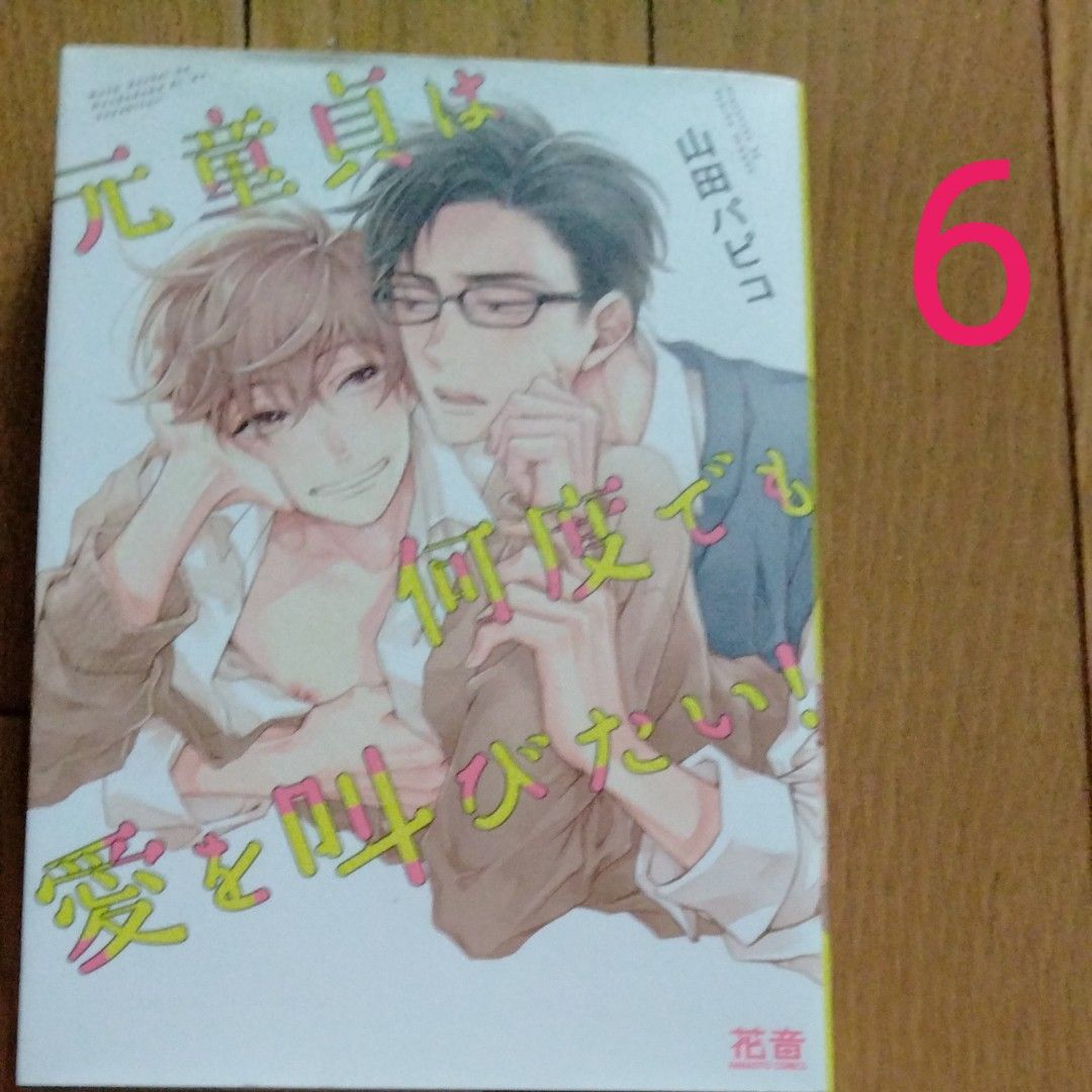 BL漫画2冊から4冊売り　剣解　日野ガラス　小鳥遊ひろ　山田パピコ　カノンチヒロ　南野ましろ　みなみ恵夢　CJMichalski 