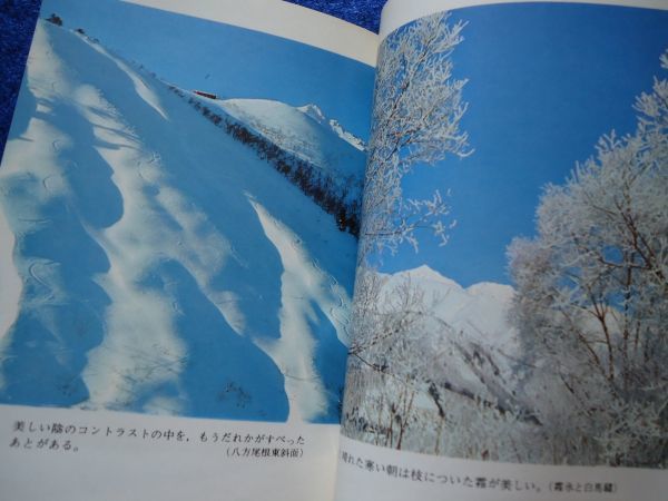 ◆2  スキー入門  中沢義直 / カラーブックス 昭和45年,初版,元ビニールカバー付の画像4