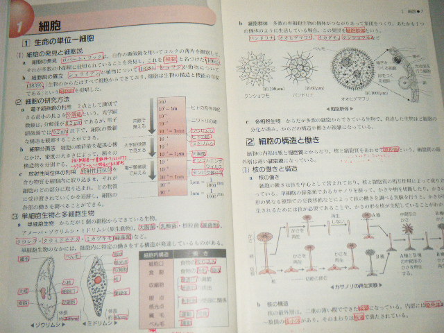 セミナー生物Ｉ　2005　第一学習社_画像3