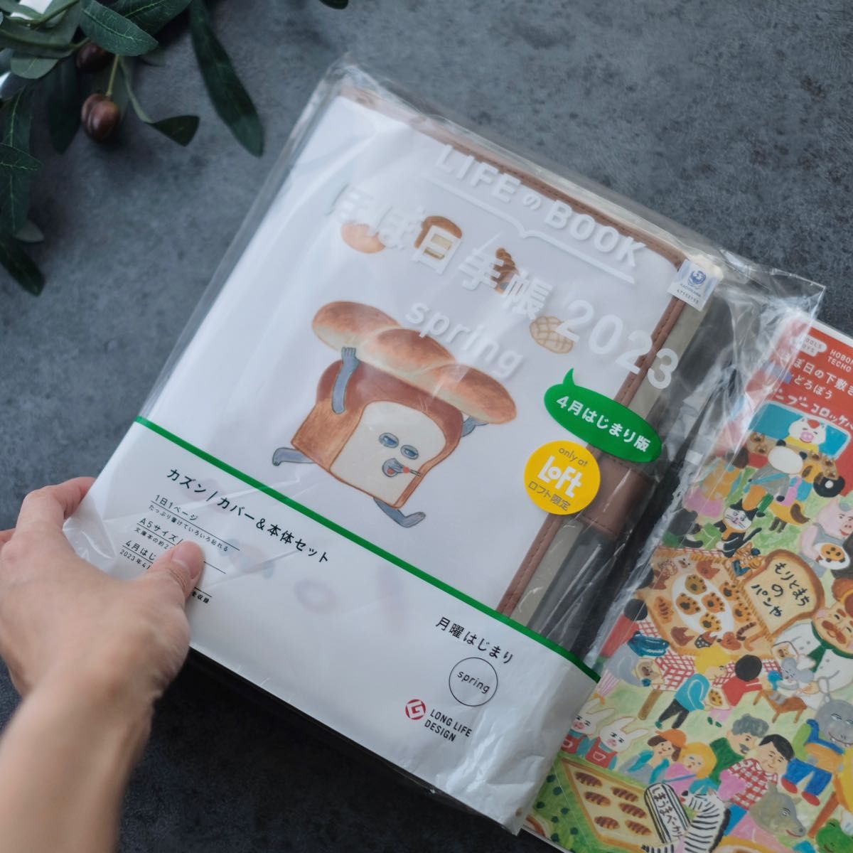 ほぼ日手帳 オリジナル アベック avec 後期 下敷き パンどろぼう