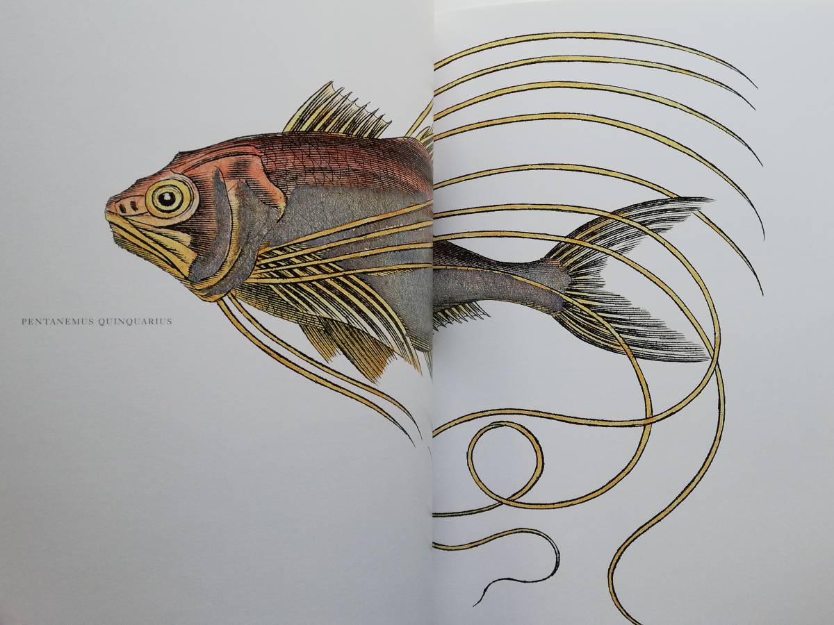 Lost Fish Anthologies of the Work of the Comte de Lacepede Lost Fish Anthologies of the Work of the Comte de Lacepede