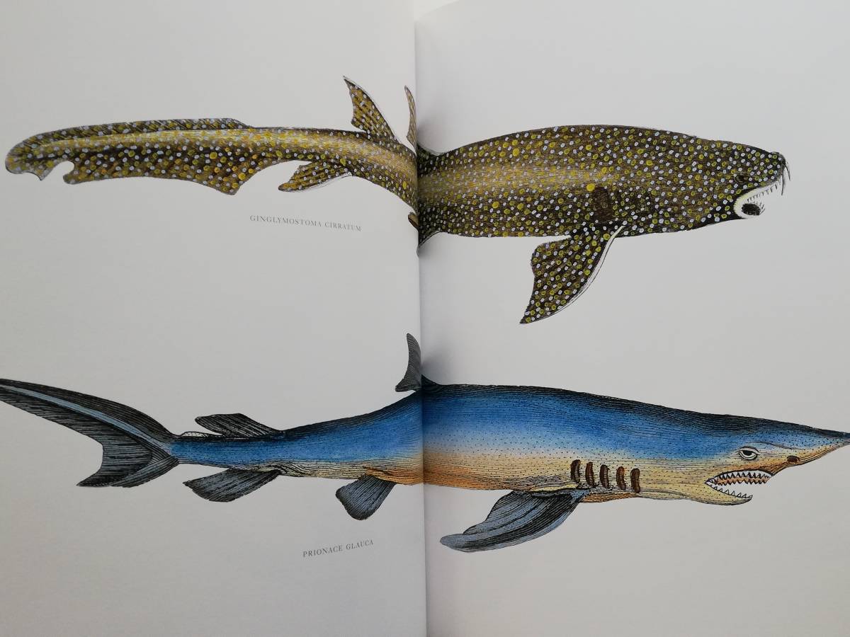Lost Fish Anthologies of the Work of the Comte de Lacepede