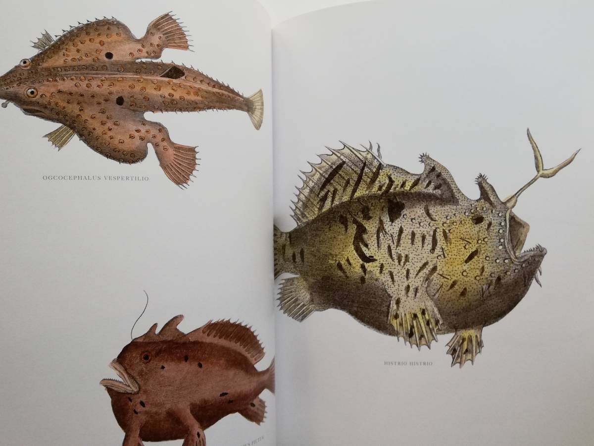 Lost Fish Anthologies of the Work of the Comte de Lacepede Lost Fish Anthologies of the Work of the Comte de Lacepede