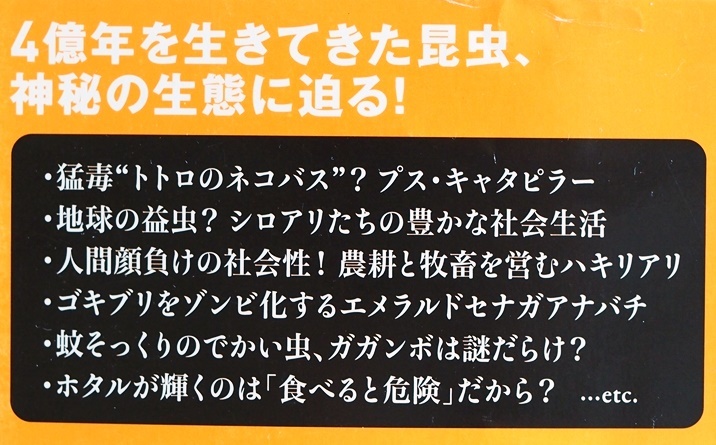 ★送料無料★ 『4億年を生き抜いた昆虫』 体の構造 擬態 集団越冬 100万種に及ぶ虫たちの不思議、美しさに迫る 岡島秀治 新書