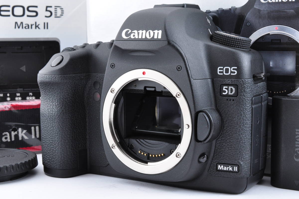 お気に入り】 EOS Canon #DL11 - Canon 5D シャッター数8744 II Mark