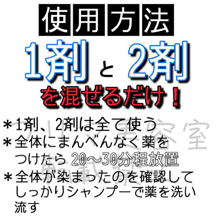 タマリス　白髪染めセット　ナチュラルブラウン12（明るめ）ショート用_画像3