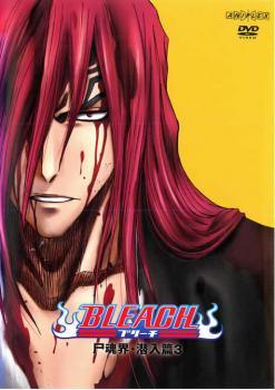 BLEACH ブリーチ 尸魂界 潜入篇 3(第29話～第32話) レンタル落ち 中古 DVD_画像1