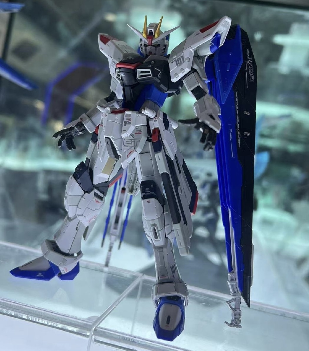 海外限定 RG フリーダム Ver.GCP 1/144 店頭 数量限定発売 バンダイ正規品 機動戦士ガンダム SEED DESTINY ZGMF-X10A BANDAI_画像8