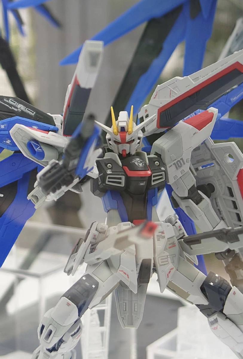 海外限定 RG フリーダム Ver.GCP 1/144 店頭 数量限定発売 バンダイ正規品 機動戦士ガンダム SEED DESTINY ZGMF-X10A BANDAI_画像7