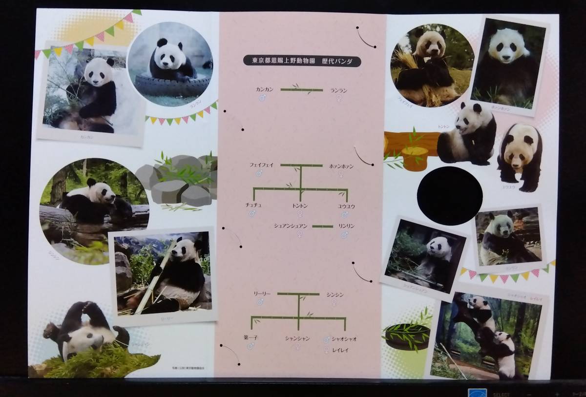 東京メトロ 24時間券 ジャイアントパンダ来園 50周年記念 3枚セット 限定 カード コレクション 上野動物園 ランラン カンカン の画像3