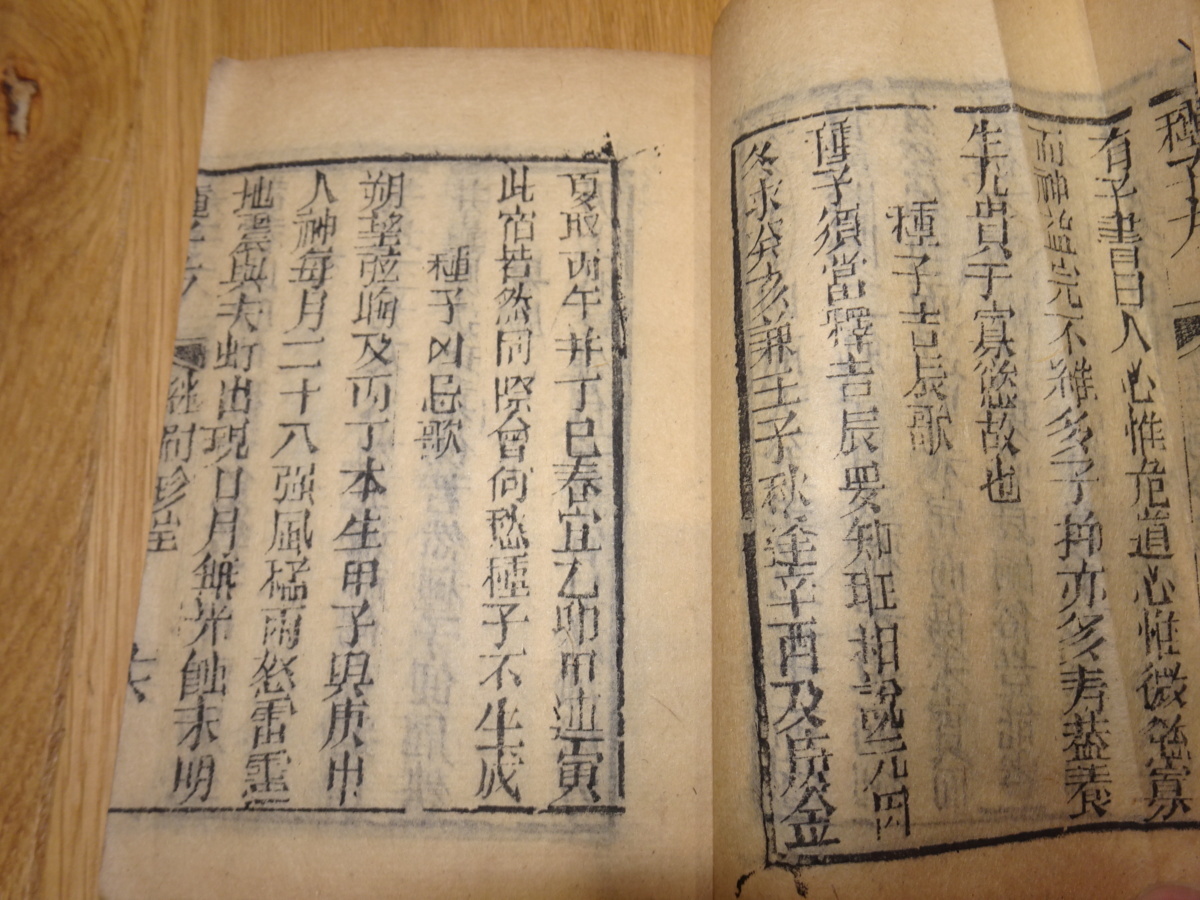 rarebookkyoto　1ｆ201　清国　木版本　種子全篇　松柏老人　1850年頃作　　上海　　名古屋　京都 - 3