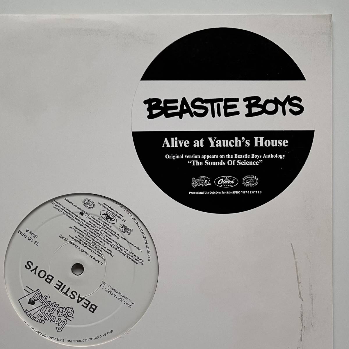 Beastie Boys - Alive At Yauch's House (Promo)_画像1