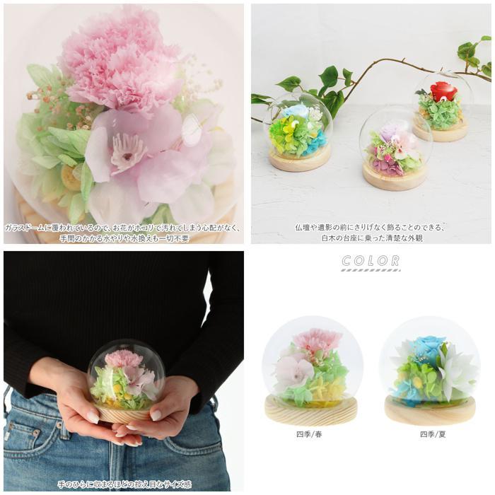 * four season / winter ... preserved flower glass dome mail order four season calendar ... flower .. flower . flower dome type dome preserve long-lasting decoration .