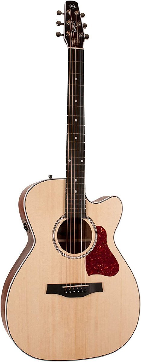 Seagull Guitars Maritime SWS CH CW QIT エレアコ_画像1