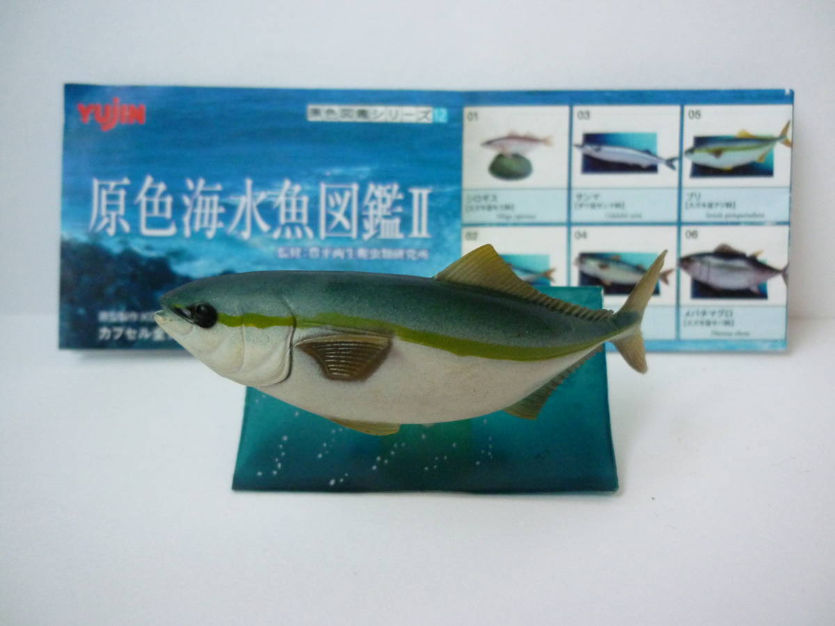 Yahoo!オークション - 原色海水魚図鑑 ブリ フィギュア ユージン Yahoo!オークション - 原色海水魚図鑑 ブリ フィギュア ユージン