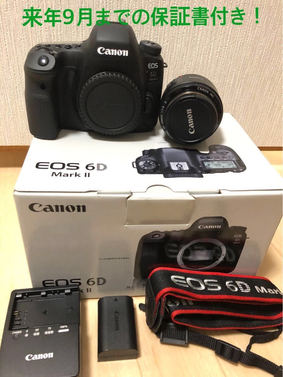 値下げしました。Canon EOS 6D Mark II レンズ4本セット | www.tspea.org