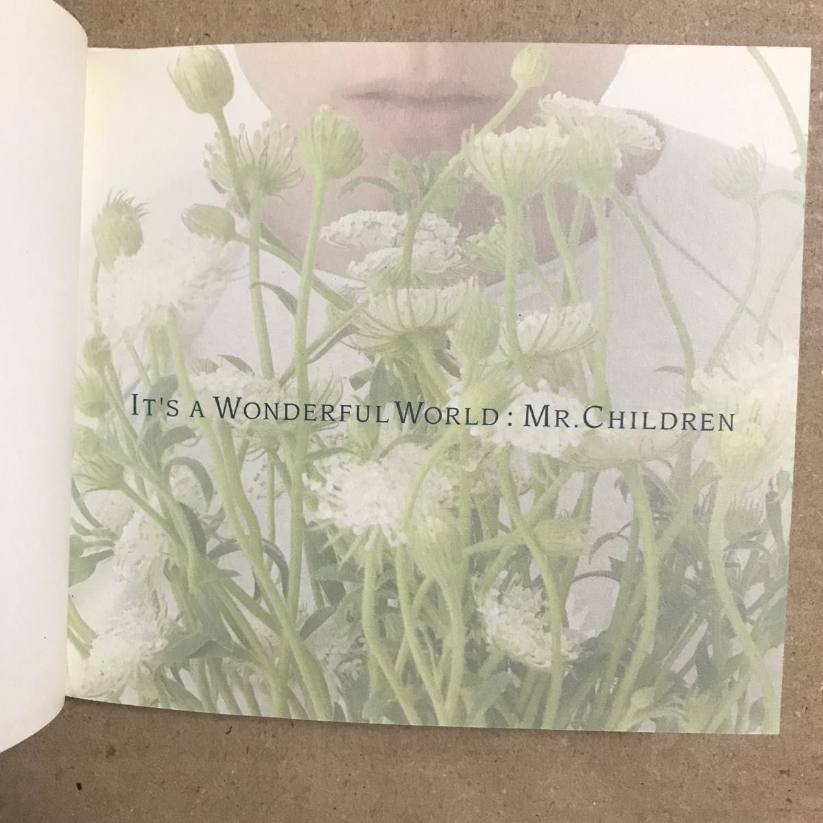 Mr.Children/IT''S A WONDERFUL WORLD/ミスチル【送料込】