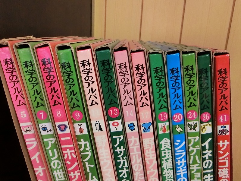あかね書房 科学のアルバム　まとめてセット　虫 海 動物 植物 食虫植物　図鑑　生物　学校 勉強　自主学習　カラー写真版_画像2