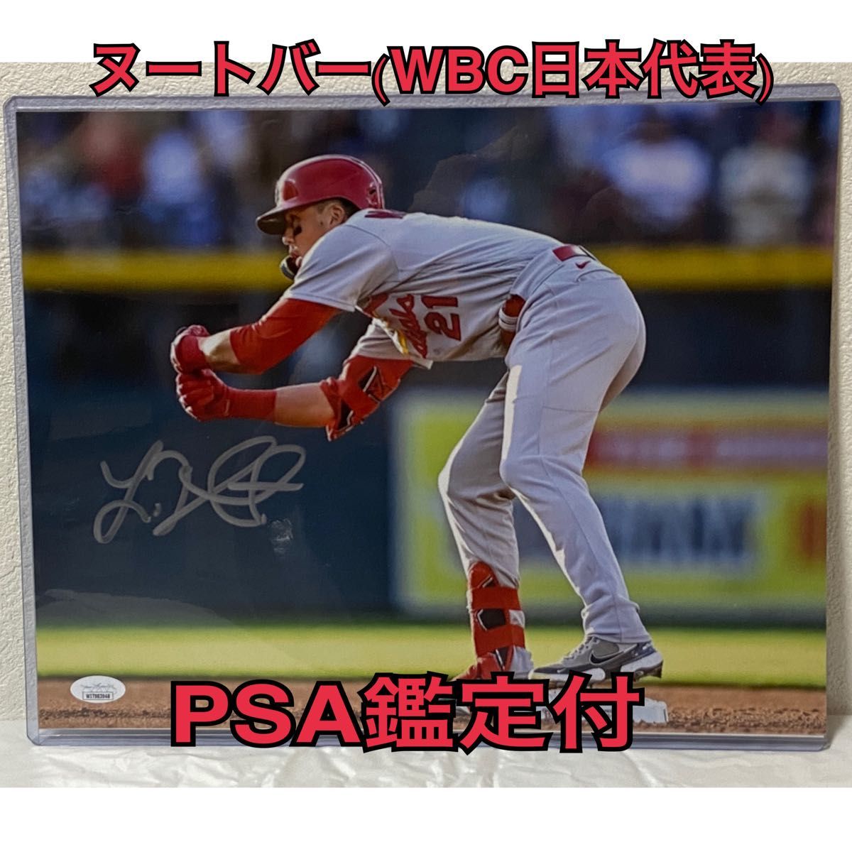 激レア WBC 日本代表 ラーズ ヌートバー 直筆サイン フォト セントルイス カージナルス 写真 JSA鑑定付｜PayPayフリマ