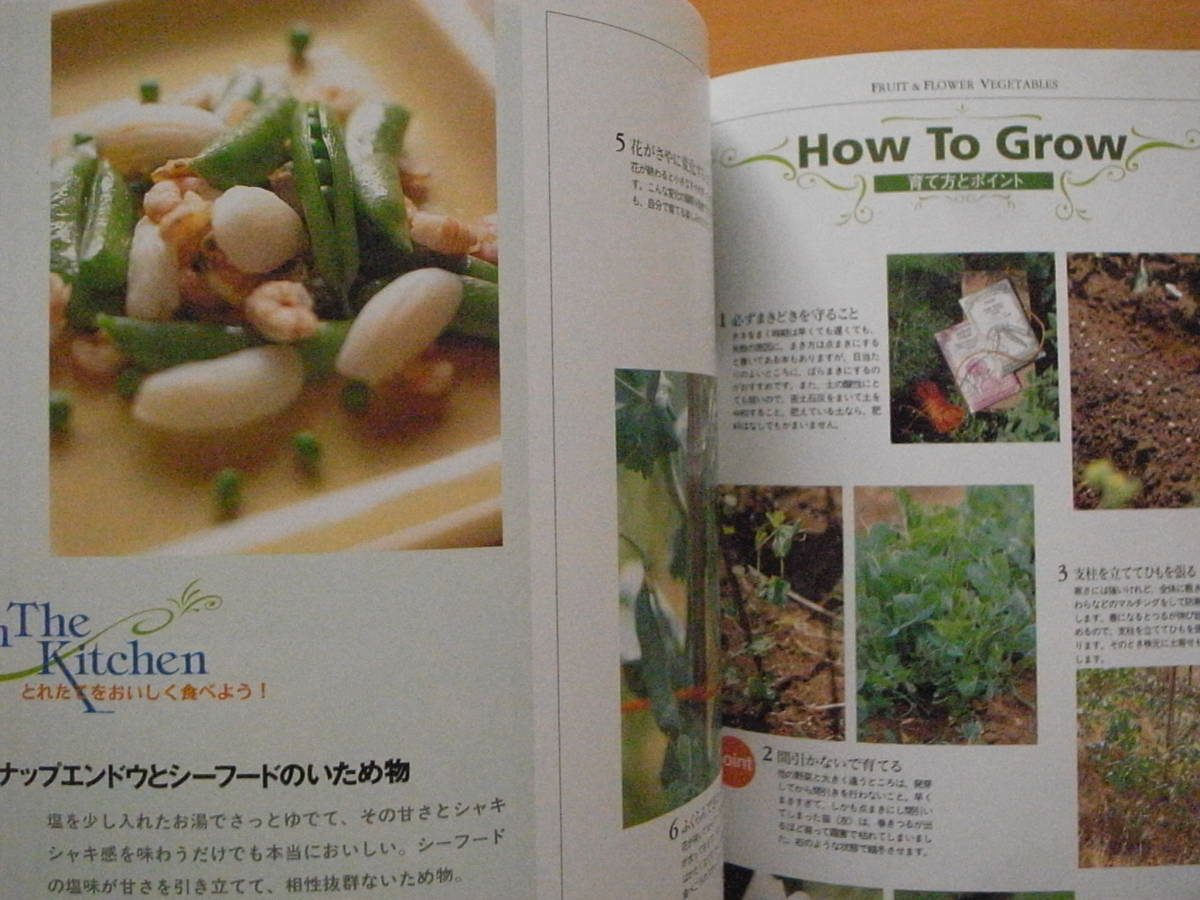  cotton plant .. kitchen garden /.. length. ../....../ gardening / container / vegetable / Berry / herb 