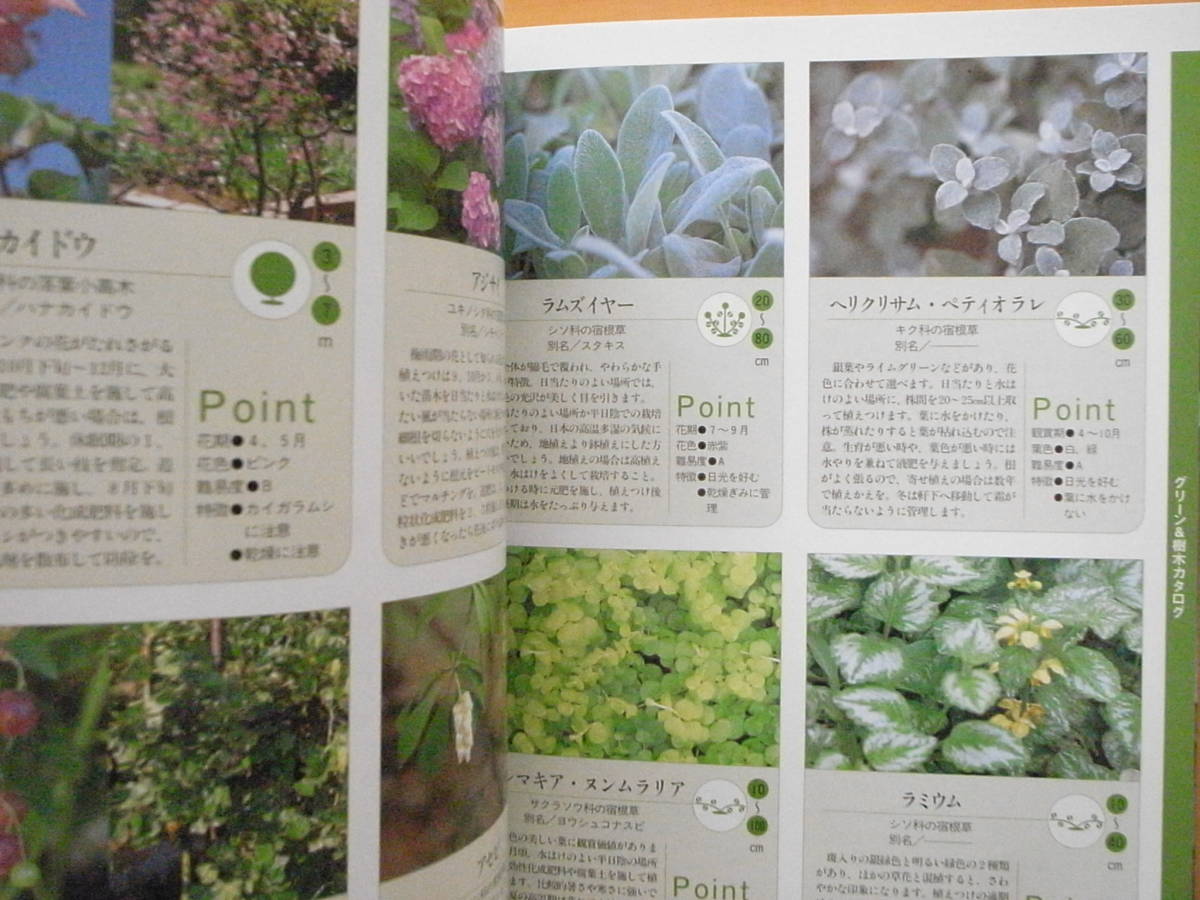  Kawaguchi .. gardening lesson / mountain ... company / spring summer autumn winter /. flower / garden 