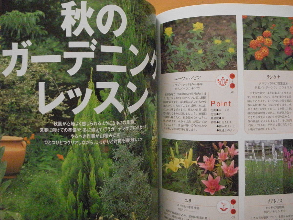  Kawaguchi .. gardening lesson / mountain ... company / spring summer autumn winter /. flower / garden 