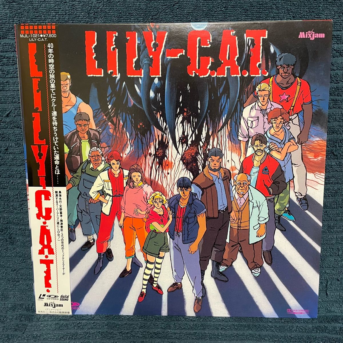 [ record quality excellent ] [LD LILY-C.A.T.] operation not yet verification Junk obi attaching cell version MJL-1021 bird sea . line lili.* cat laser disk 