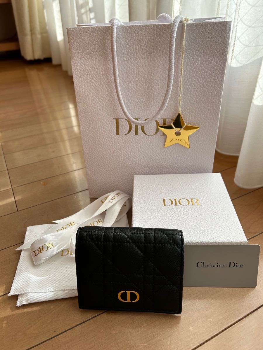 DIOR CARO マルチカラー ミニウォレット | www.jarussi.com.br