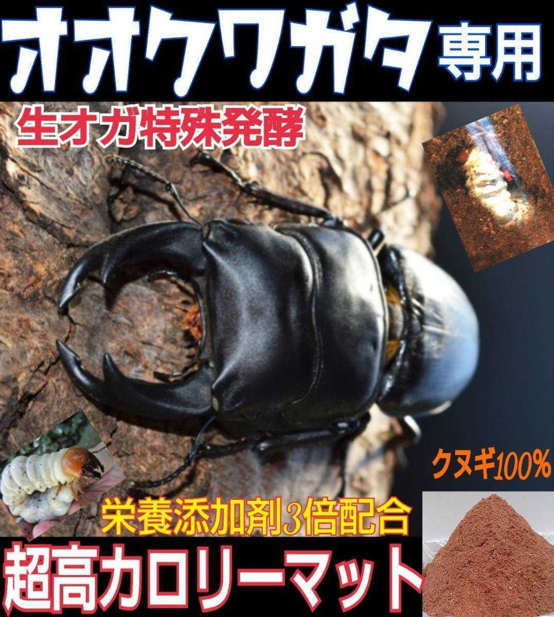 オオクワガタ専用☆超高カロリーマット【4袋】生オガを特殊発酵！共生バクテリア・特殊アミノ酸など栄養添加剤を３倍配合 フタマタ系にもの画像9