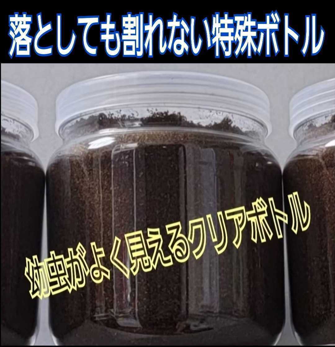 クワガタの幼虫を入れるだけ　便利です！　　800ml クリアボトル入り　プレミアム発酵マット【3本】　栄養添加剤３倍配合　ミヤマにお薦め