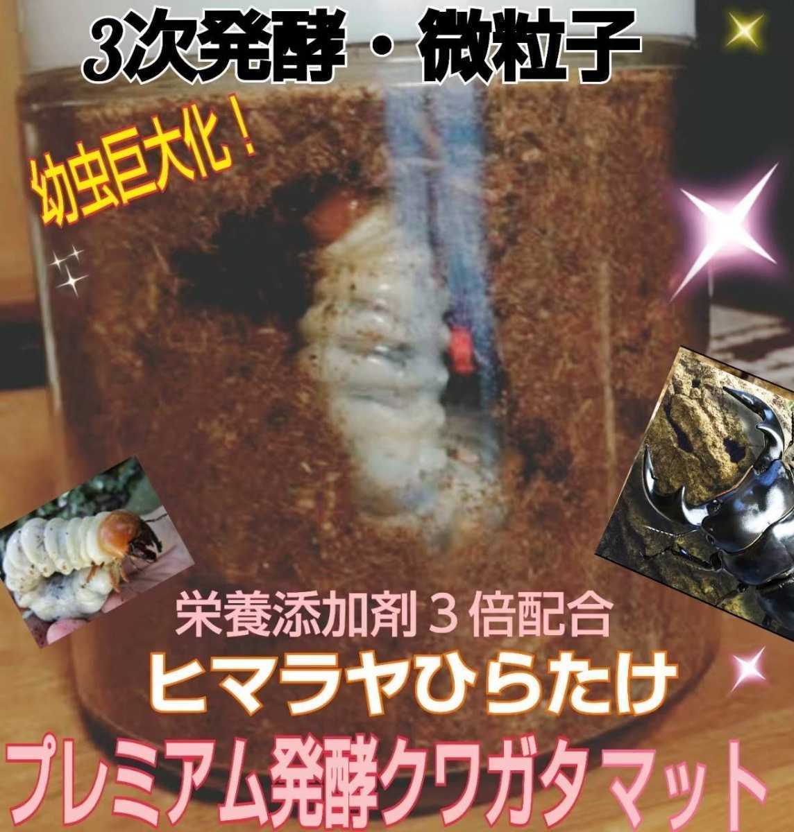 お買得!】 クワガタ幼虫を入れるだけ 便利です! 800ml クリアボトル