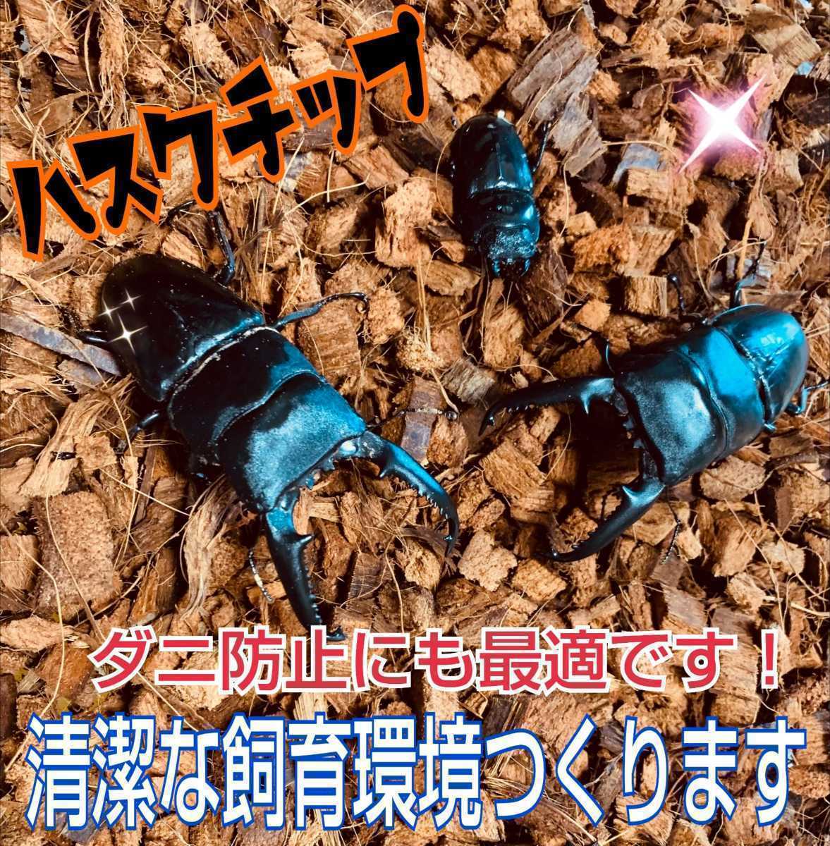 カブトムシ・クワガタの成虫飼育に最適！ハスクチップ【5リットル】転倒防止・消臭・保水性に優れダニ防止にも抜群！　無農薬厳選素材使用