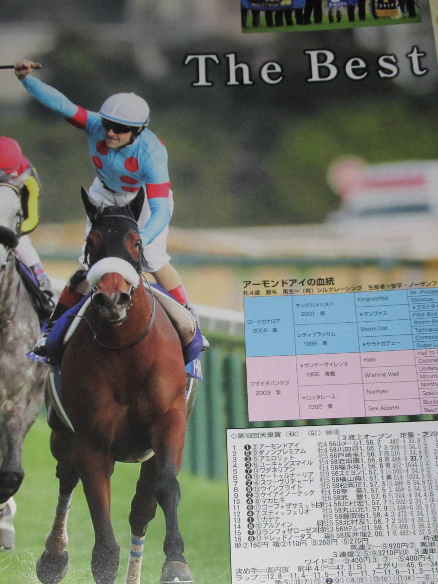 匿名送料無料 ★永久保存版 GALLOP臨時増刊 ☆JRA重賞年鑑 2019 即決！リスグラシュー アーモンドアイ ワールドプレミア レシステンシア_画像8