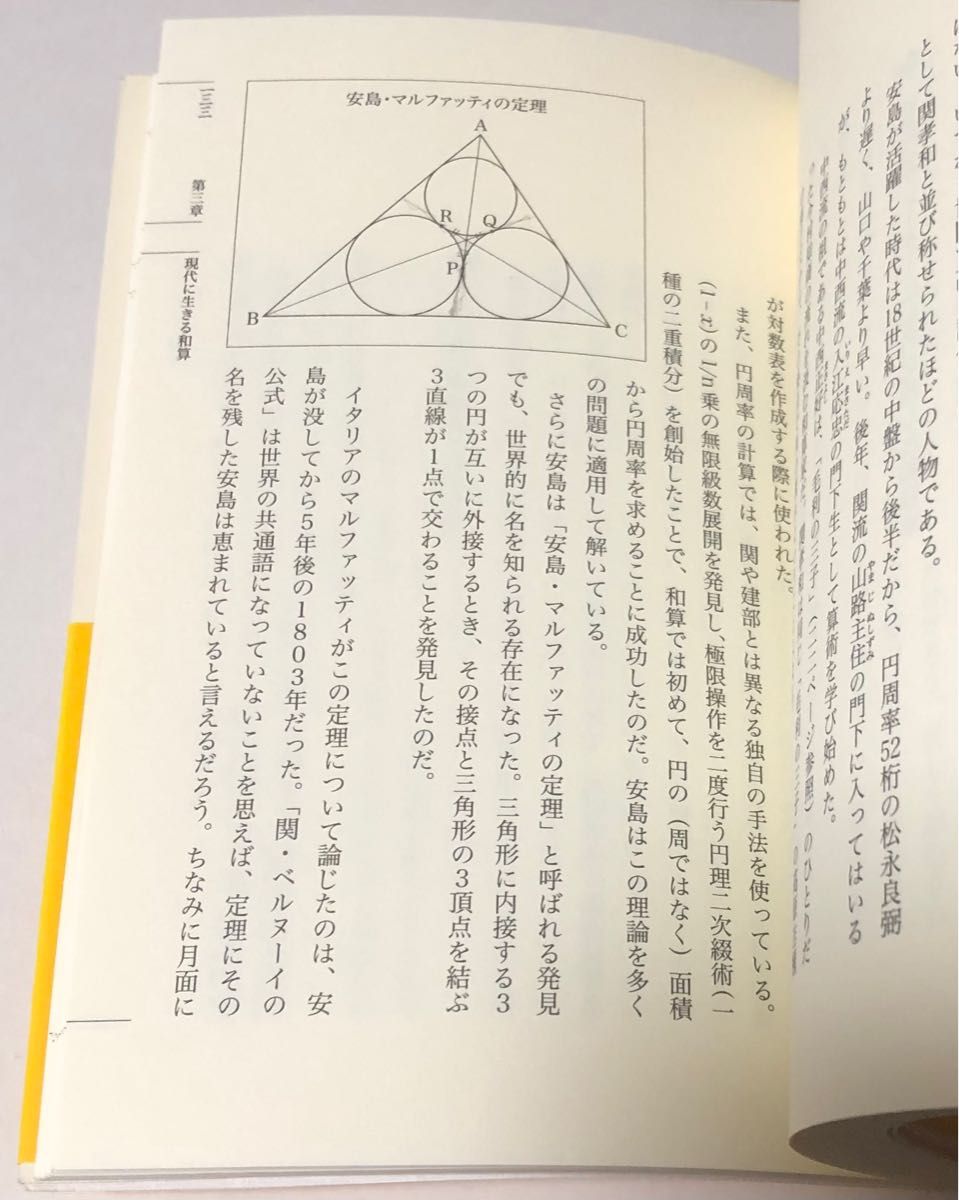 江戸の数学教科書 桜井進／著