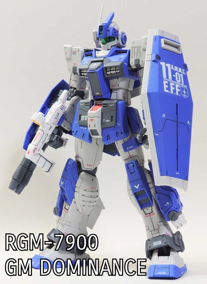 プレバン限定】MG1/100「ジム・ドミナンス」ディテール追加・成型色