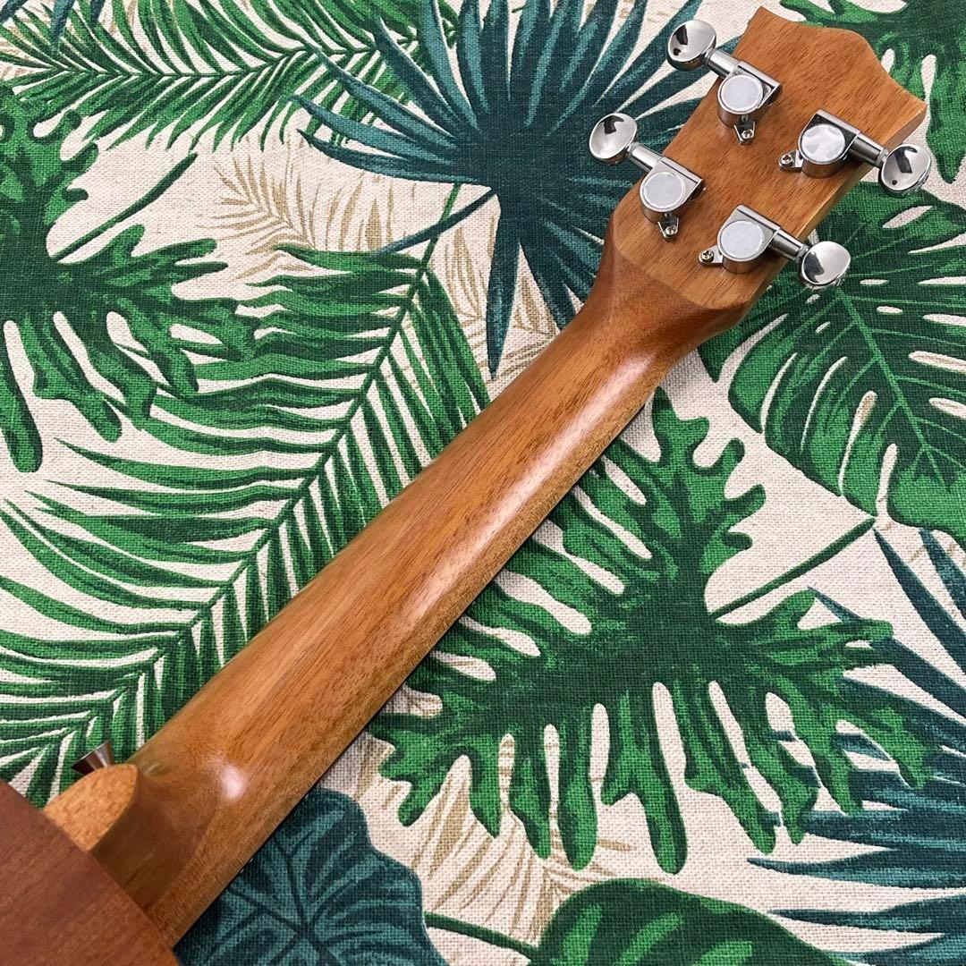 kmise ukulele】かたつむり模様のエレキ・コンサートウクレレ