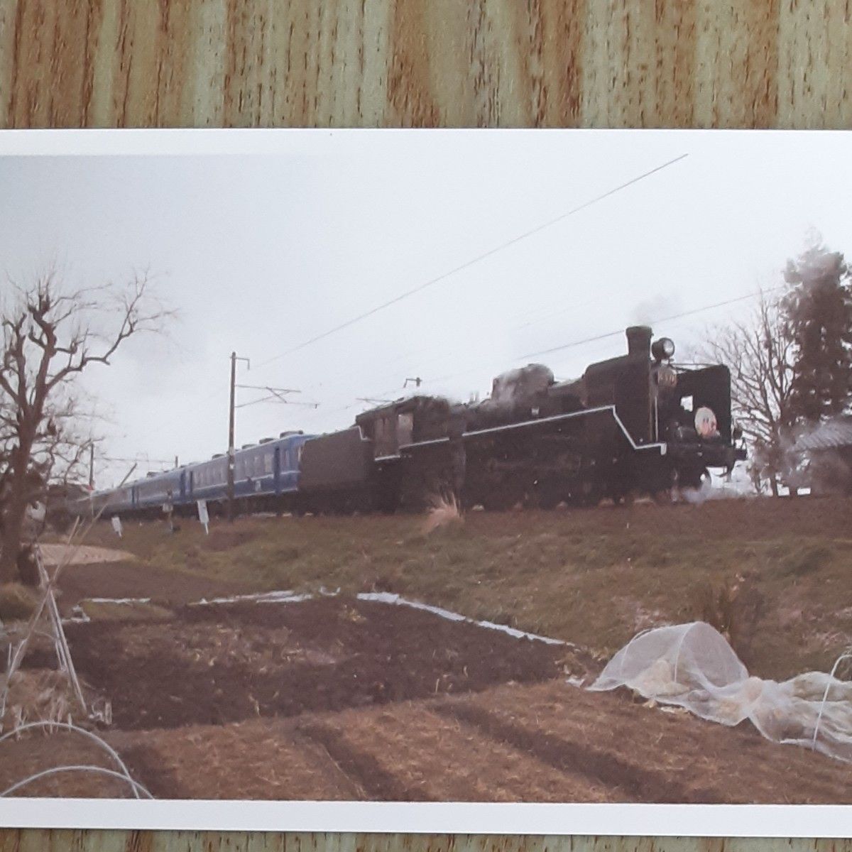 蒸気機関車の写真7枚