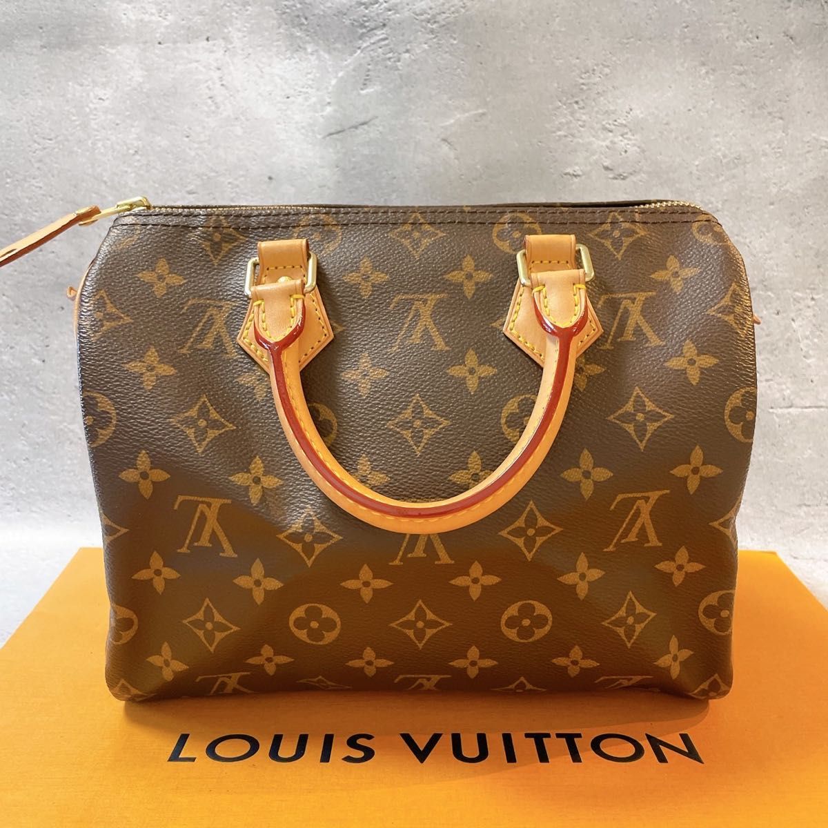 LOUISVUITTON ルイヴィトン スピーディ 25 ハンドバッグ ミニボストン