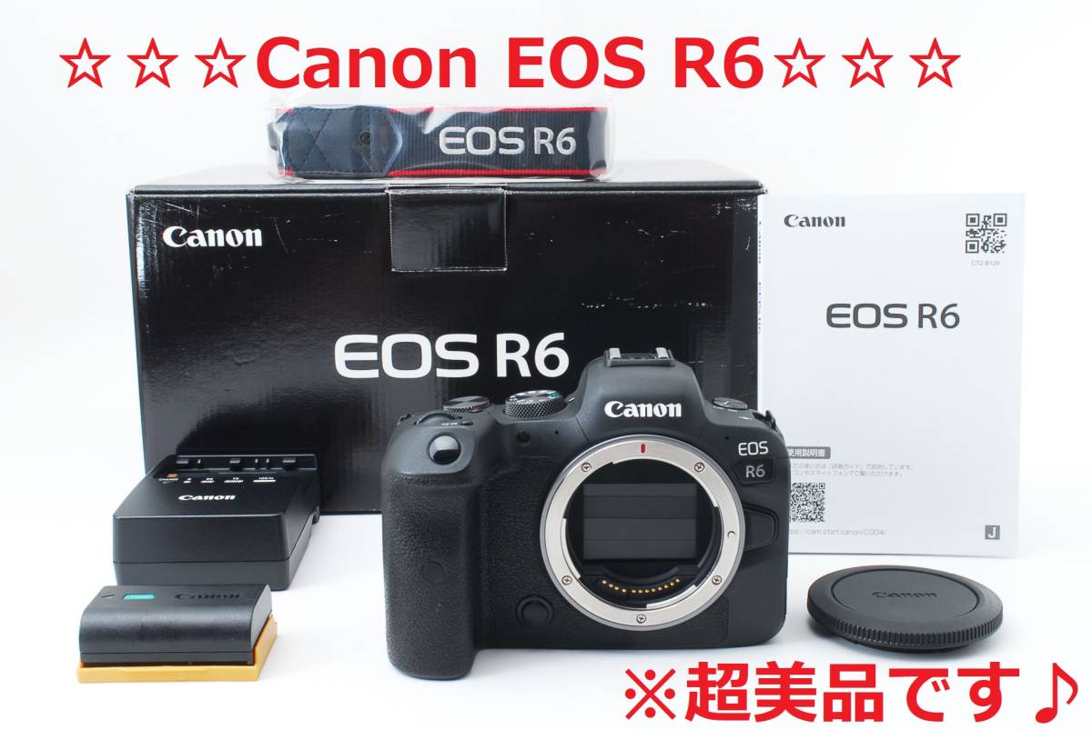 超美品!!☆フルサイズミラーレスの新標準♪☆ Canon EOS R6 #4852