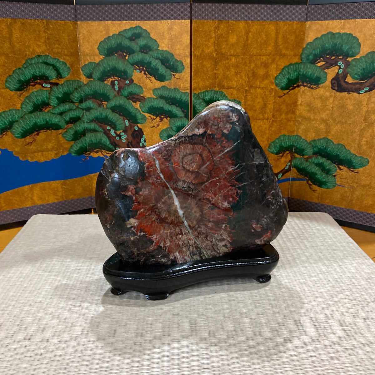 誕生日プレゼント 珍しい種類の赤花 鑑賞石 菊花石 盆栽 asakusa.sub.jp
