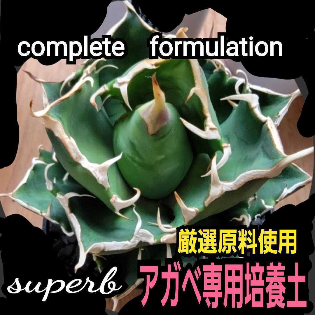 アガベ　専用培養土【10L】プロショップが原料にこだわり抜群の配合で完成させた特選品　これ1つあればバッチリ育成OKです　多肉植物全般に_画像7