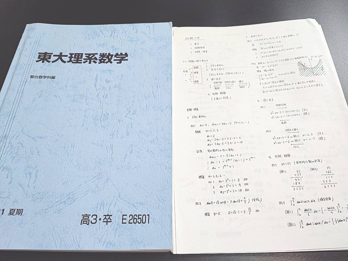 鉄録会 矢野先生らによる東大現代文・難関大向け現代文対策冊子 国語