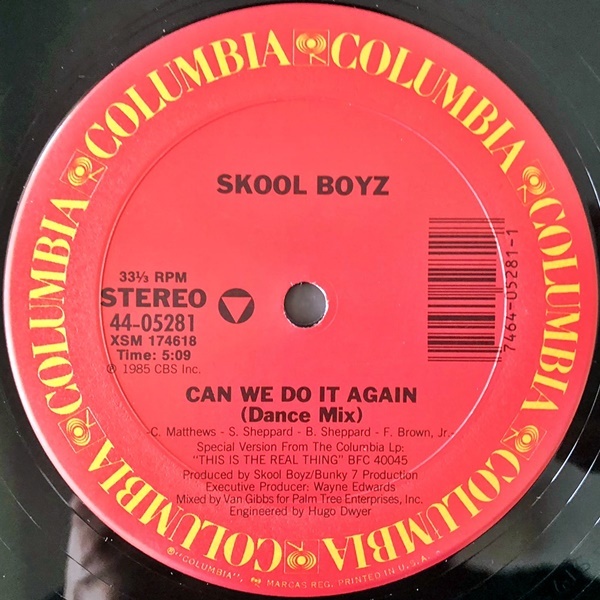【ワンコイン Disco & Soul 12】Skool Boyz / Can We Do It Again_画像1